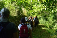 Πέμπτη, 27 Ιουλίου: Πεζοπορία στα μονοπάτια του Menalon Trail. "Η Ερμηνεία Φυσικής και Πολιτιστικής Κληρονομιάς στην Πράξη", από την Πηνελόπη Γκίνη, Ξεναγό Ερμηνείας